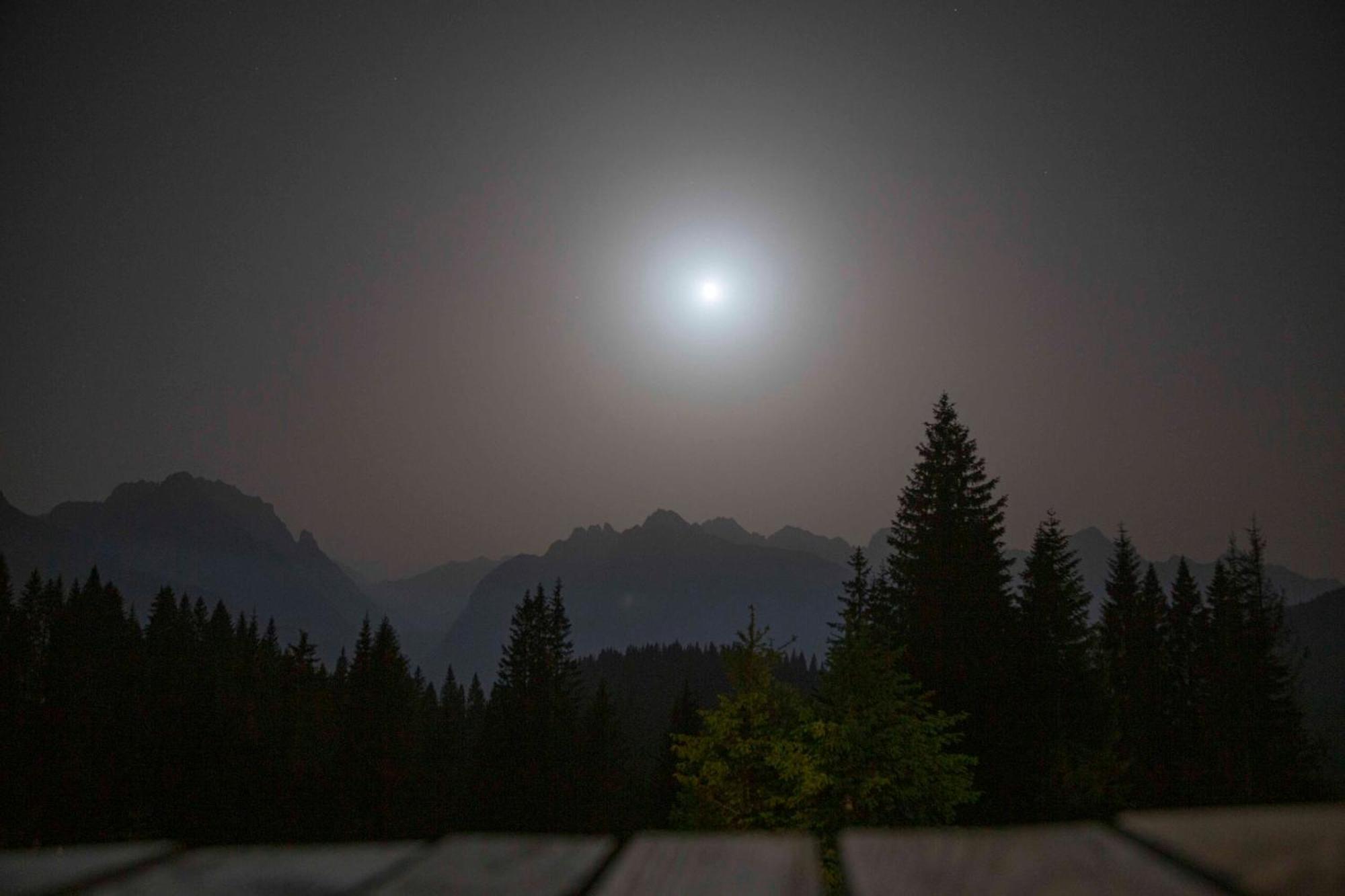 Rifugio Forcella Zovo Hotell San Pietro di Cadore Exteriör bild