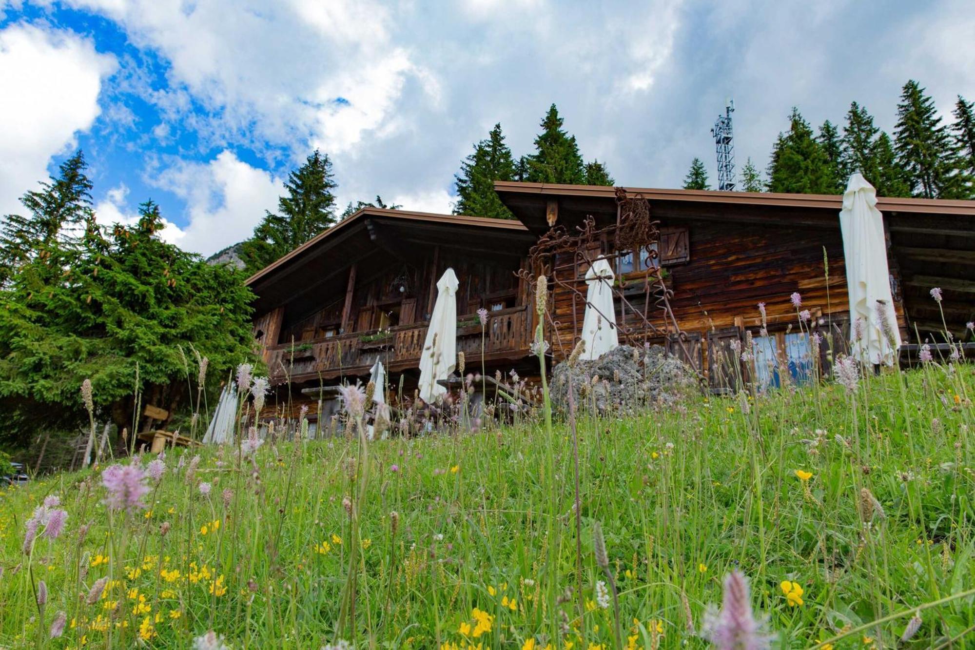 Rifugio Forcella Zovo Hotell San Pietro di Cadore Exteriör bild